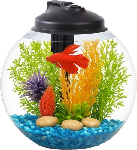 3-Gallon Fish Tank, Aquarium Starter Kit Includes Power Filter, LED Light with 5V Power Supply