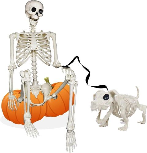 Posable Life Full Size Skeleton with Dog Skeleton