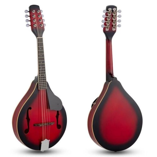 8 Strings 4 Type Mandolin