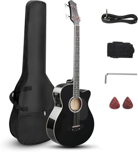 4 String Acoustic Bass Guitar