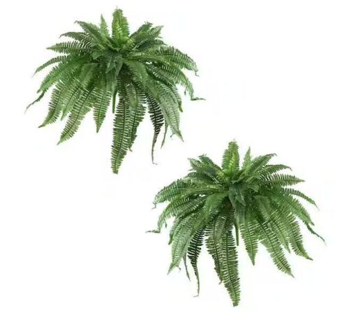 Nearly Natural 48 in. Artificial Boston Fern (Set of 2)