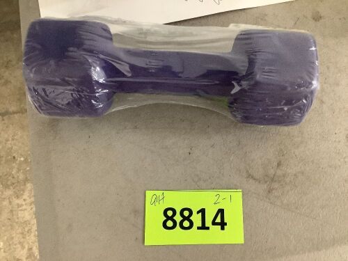 6lb Hexagonal Hand Dumbbell