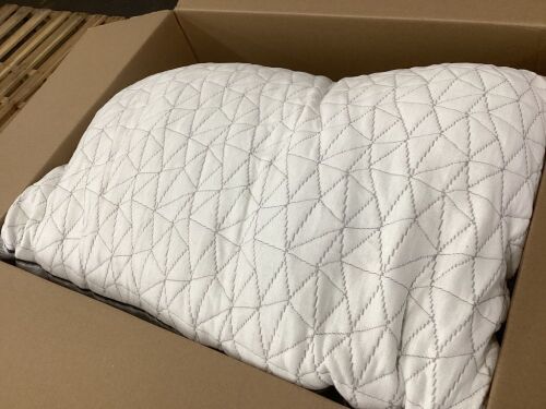 Coop Bed Pillow