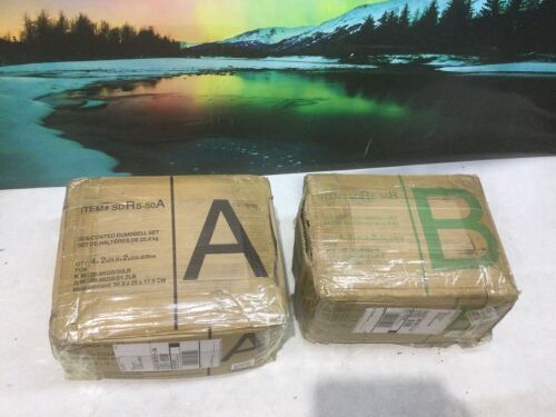 Coated Dumbbell Set, 100 lb Total - Lot 282