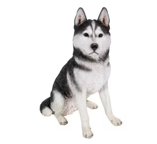 Large Black and White Siberian Husky Sitting Garden Statue