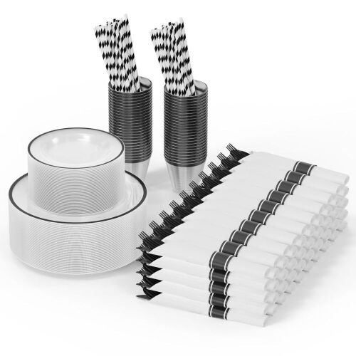 Disposable Plastic Dinnerware Set for 50 Guests, 400 pc