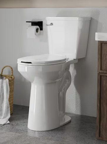 21 in. 2-Piece 1.28 GPF Single Flush Elongated Raised Toilet in White, Soft Close Seat Included