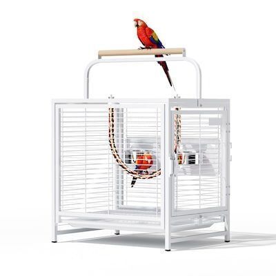 VINGLI Small Bird Cage 19 inch with Handle and Wooden Perch