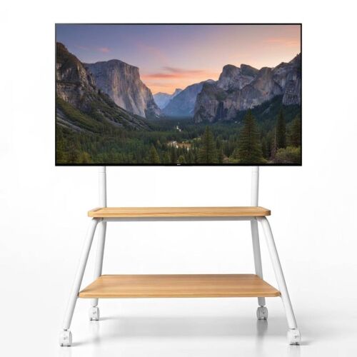 LeadZM Mobile TV Stand