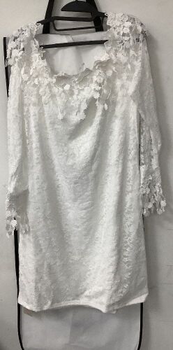 Emery Rose Curve White Floral Lace Sheer Overlay Dress Mini Midi