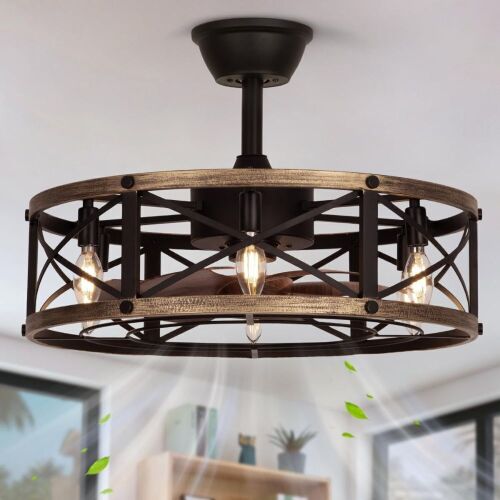 SHLUCE 22 Inch Farmhouse Caged Ceiling Fan with Light