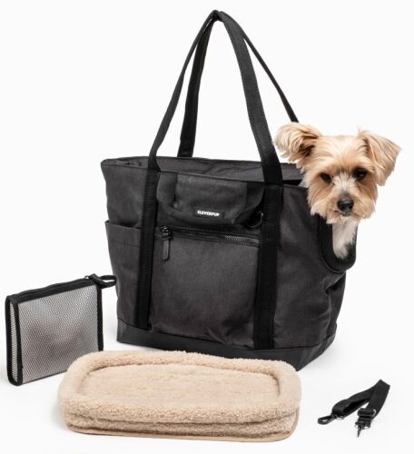 CleverPup Transit Tote Dog Carrier, Medium 8-20lbs