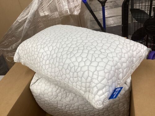 Lot of (2) Cooling Pillows