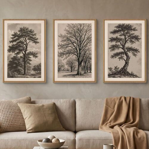 Vintage Sketch Tree Framed Canvas Wall Art Set, 16" x 24", 3 pc