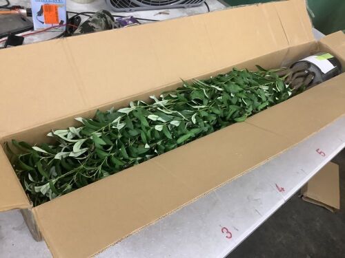 8.5ft Artificial Olive Tree with Pot