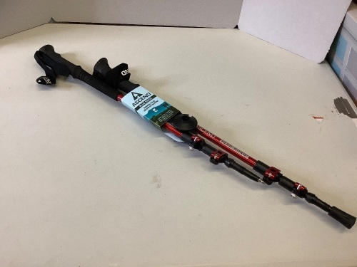 Ascend Blue Ridge Trekking Poles - Lot 198