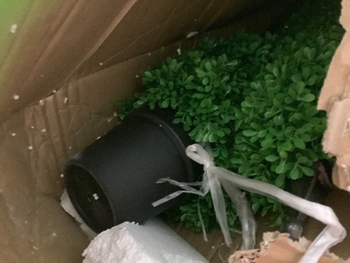 Lot of (2) Momoplant Artificial Potted Plant, E-Commerce Return - Lot 458